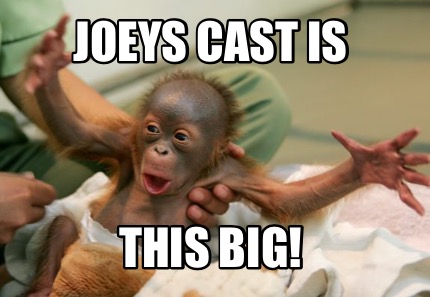 joeys-cast-is-this-big