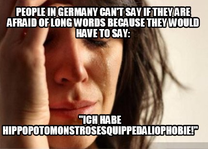 people-in-germany-cant-say-if-they-are-afraid-of-long-words-because-they-would-h6