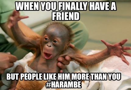 when-you-finally-have-a-friend-but-people-like-him-more-than-you-harambe