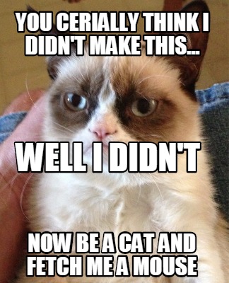 you-cerially-think-i-didnt-make-this...-well-i-didnt-now-be-a-cat-and-fetch-me-a3