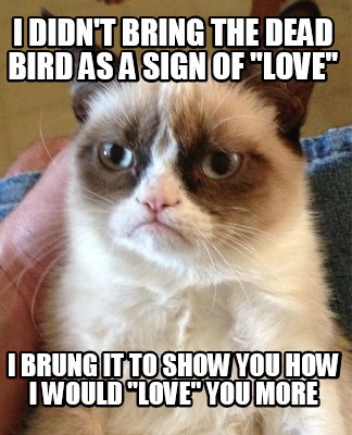 i-didnt-bring-the-dead-bird-as-a-sign-of-love-i-brung-it-to-show-you-how-i-would