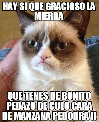 hay-si-que-gracioso-la-mierda-que-tenes-de-bonito-pedazo-de-culo-cara-de-manzana