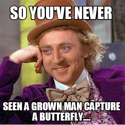 so-youve-never-seen-a-grown-man-capture-a-butterfly