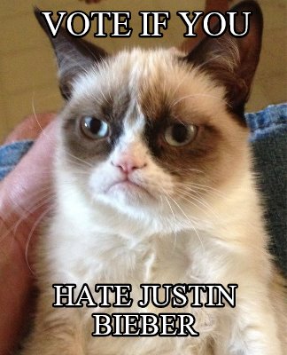 vote-if-you-hate-justin-bieber