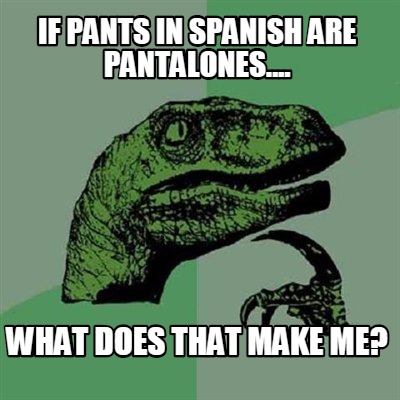 if-pants-in-spanish-are-pantalones....-what-does-that-make-me