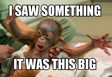 i-saw-something-it-was-this-big