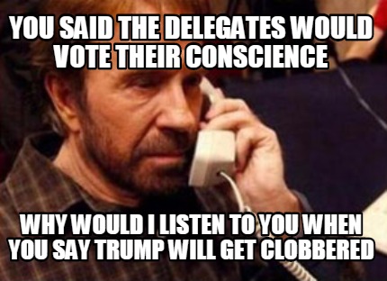you-said-the-delegates-would-vote-their-conscience-why-would-i-listen-to-you-whe