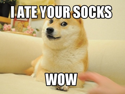 i-ate-your-socks-wow