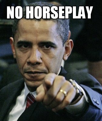 no-horseplay
