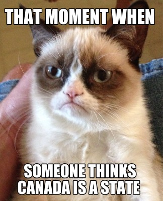 that-moment-when-someone-thinks-canada-is-a-state