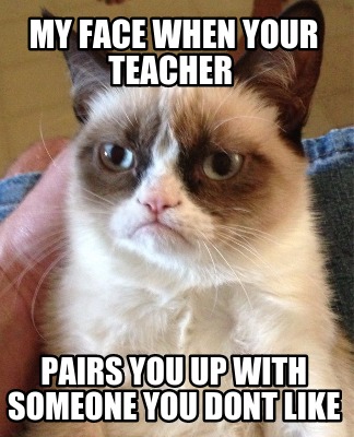 my-face-when-your-teacher-pairs-you-up-with-someone-you-dont-like