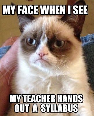 my-face-when-i-see-my-teacher-hands-out-a-syllabus