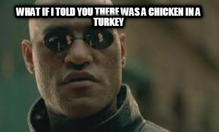 what-if-i-told-you-there-was-a-chicken-in-a-turkey