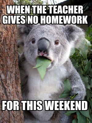 when-the-teacher-gives-no-homework-for-this-weekend