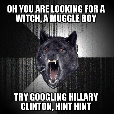 oh-you-are-looking-for-a-witch-a-muggle-boy-try-googling-hillary-clinton-hint-hi