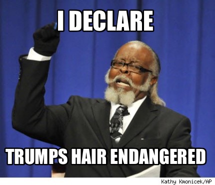 i-declare-trumps-hair-endangered