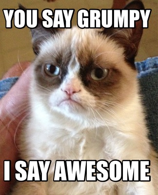 you-say-grumpy-i-say-awesome