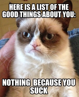 here-is-a-list-of-the-good-things-about-you-nothing-because-you-suck