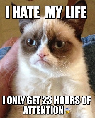 i-hate-my-life-i-only-get-23-hours-of-attention