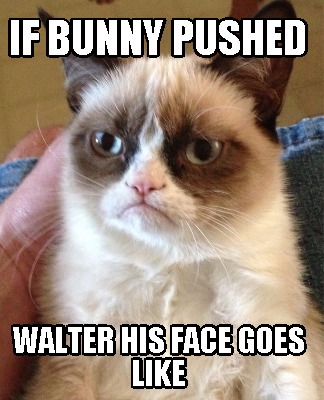 if-bunny-pushed-walter-his-face-goes-like
