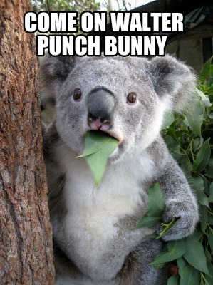 come-on-walter-punch-bunny