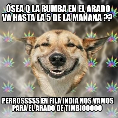 sea-q-la-rumba-en-el-arado-va-hasta-la-5-de-la-maana-perrosssss-en-fila-india-no