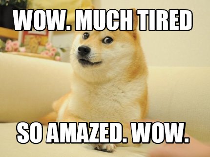 wow.-much-tired-so-amazed.-wow