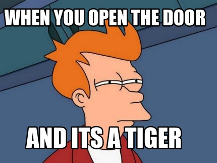 when-you-open-the-door-and-its-a-tiger