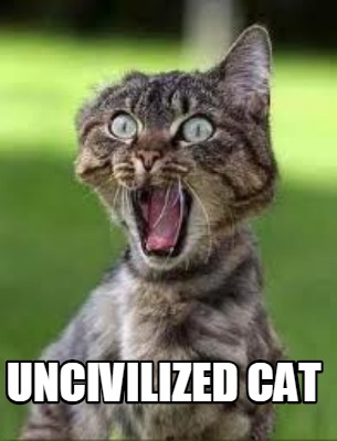 uncivilized-cat