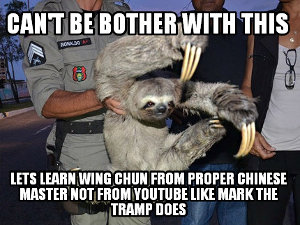 cant-be-bother-with-this-lets-learn-wing-chun-from-proper-chinese-master-not-fro