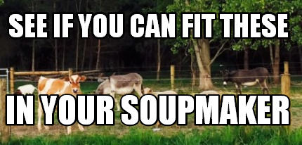 see-if-you-can-fit-these-in-your-soupmaker