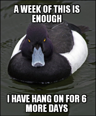a-week-of-this-is-enough-i-have-hang-on-for-6-more-days