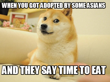 when-you-got-adopted-by-some-asians-and-they-say-time-to-eat