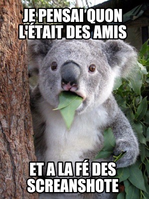 je-pensai-quon-ltait-des-amis-et-a-la-f-des-screanshote