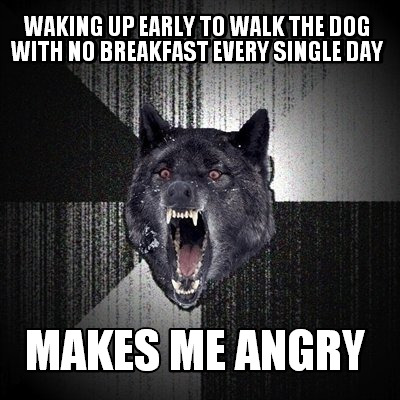 waking-up-early-to-walk-the-dog-with-no-breakfast-every-single-day-makes-me-angr