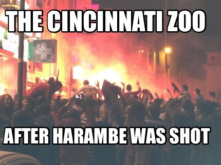 the-cincinnati-zoo-after-harambe-was-shot