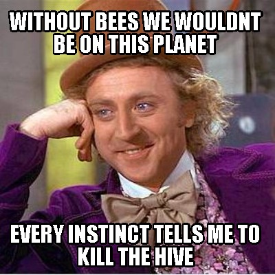 without-bees-we-wouldnt-be-on-this-planet-every-instinct-tells-me-to-kill-the-hi