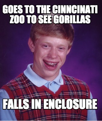 goes-to-the-cinncinati-zoo-to-see-gorillas-falls-in-enclosure