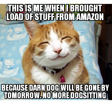 this-is-me-when-i-brought-load-of-stuff-from-amazon-because-darn-dog-will-be-gon