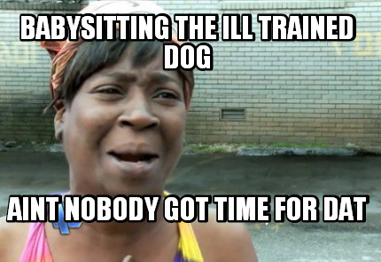 babysitting-the-ill-trained-dog-aint-nobody-got-time-for-dat