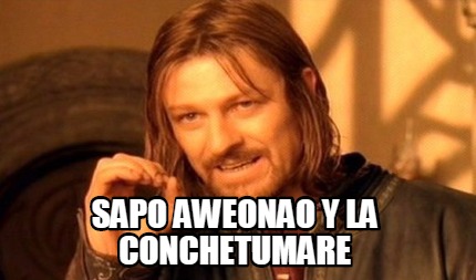 sapo-aweonao-y-la-conchetumare
