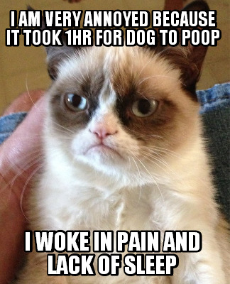 i-am-very-annoyed-because-it-took-1hr-for-dog-to-poop-i-woke-in-pain-and-lack-of