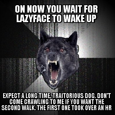 on-now-you-wait-for-lazyface-to-wake-up-expect-a-long-time-traitorious-dog.-dont