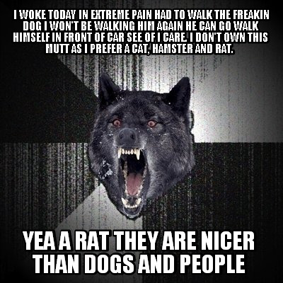 i-woke-today-in-extreme-pain-had-to-walk-the-freakin-dog-i-wont-be-walking-him-a3