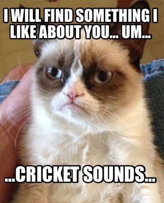 i-will-find-something-i-like-about-you...-um...-...cricket-sounds