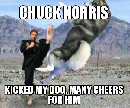 chuck-norris-kicked-my-dog-many-cheers-for-him