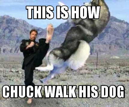 this-is-how-chuck-walk-his-dog