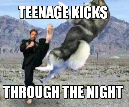 teenage-kicks-through-the-night