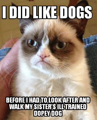 i-did-like-dogs-before-i-had-to-look-after-and-walk-my-sisters-ill-trained-dopey