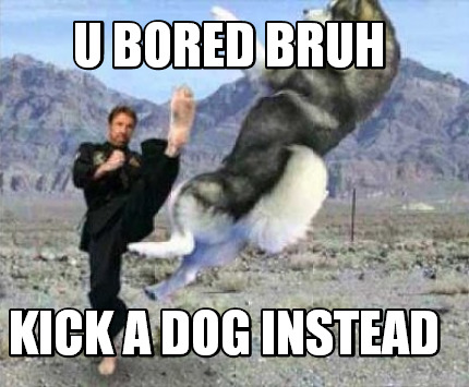 u-bored-bruh-kick-a-dog-instead